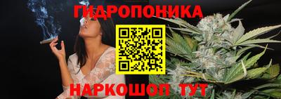мет Можга