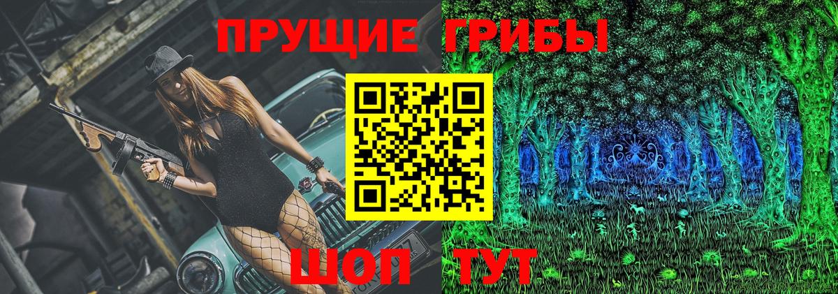 Псилоцибиновые грибы мицелий  Галлюциногенные грибы MAGIC MUSHROOMS  Черногорск  Вход с VPN 