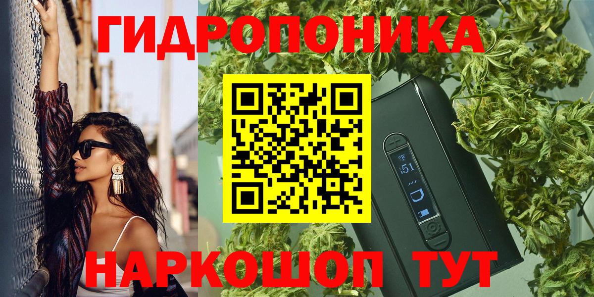 Черногорск  Конопля семена  Вход с VPN  Марихуана сатива  Марихуана Ganja 